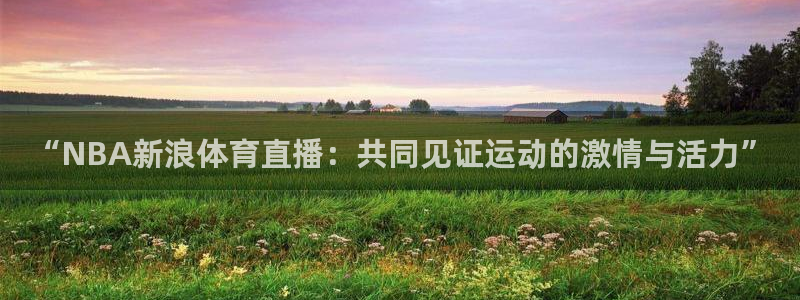 “NBA新浪体育直播：共同见证运动的激情与活力”
