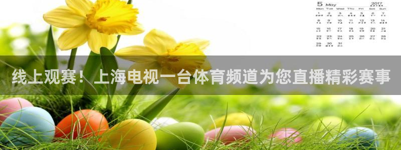线上观赛！上海电视一台体育频道为您直播精彩赛事