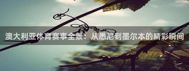 澳大利亚体育赛事全景：从悉尼到墨尔本的精彩瞬间