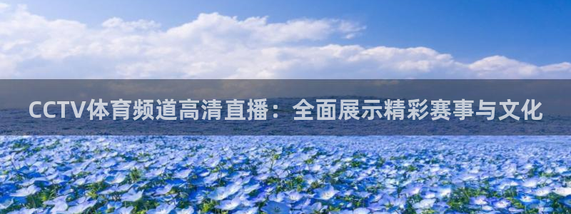 CCTV体育频道高清直播：全面展示精彩赛事与文化