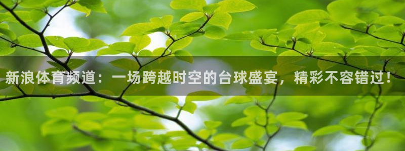 新浪体育频道：一场跨越时空的台球盛宴，精彩不容错过！