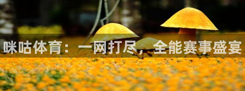 咪咕体育：一网打尽，全能赛事盛宴
