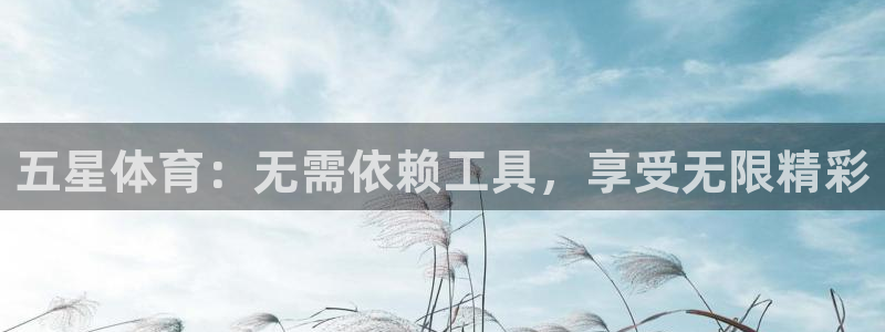 五星体育：无需依赖工具，享受无限精彩