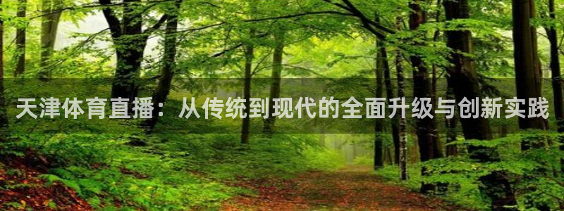 天津体育直播：从传统到现代的全面升级与创新实践