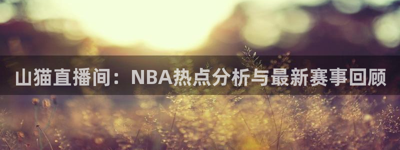 山猫直播间：NBA热点分析与最新赛事回顾