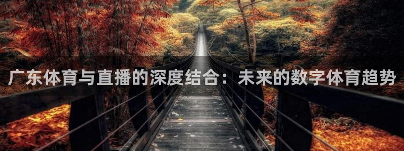 广东体育与直播的深度结合：未来的数字体育趋势