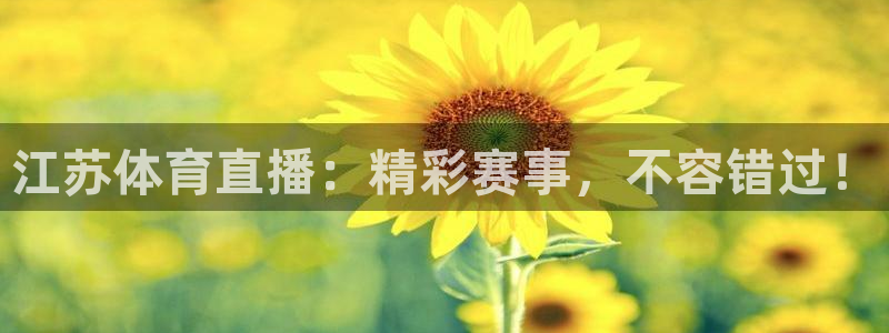 江苏体育直播：精彩赛事，不容错过！
