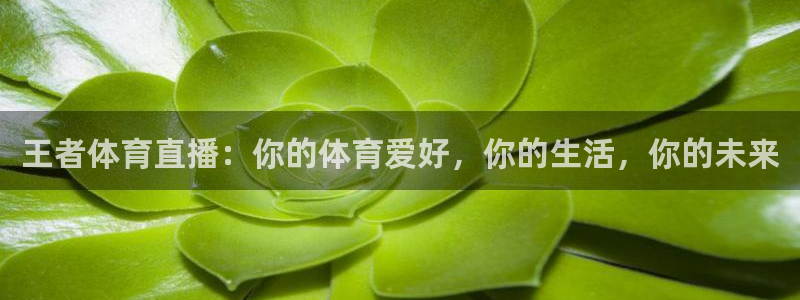 王者体育直播：你的体育爱好，你的生活，你的未来