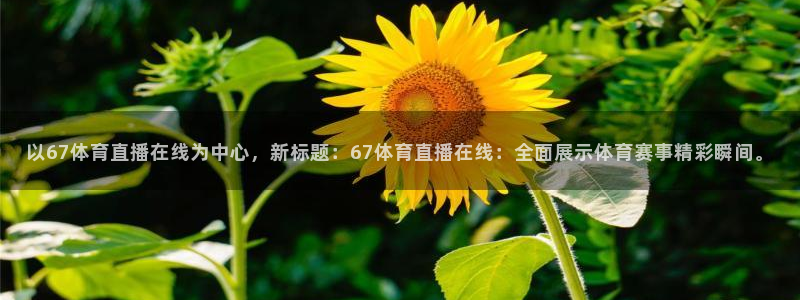 以67体育直播在线为中心，新标题：67体育直播在线：全面展示体育赛事精彩瞬间。