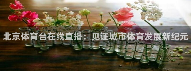 北京体育台在线直播：见证城市体育发展新纪元
