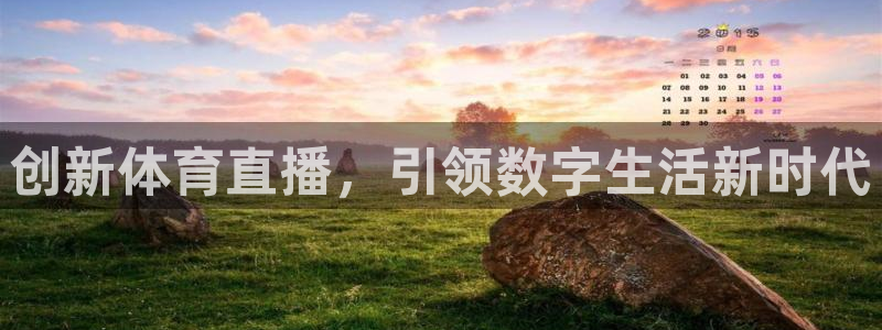 创新体育直播，引领数字生活新时代