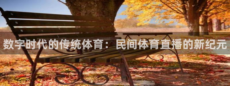 数字时代的传统体育：民间体育直播的新纪元