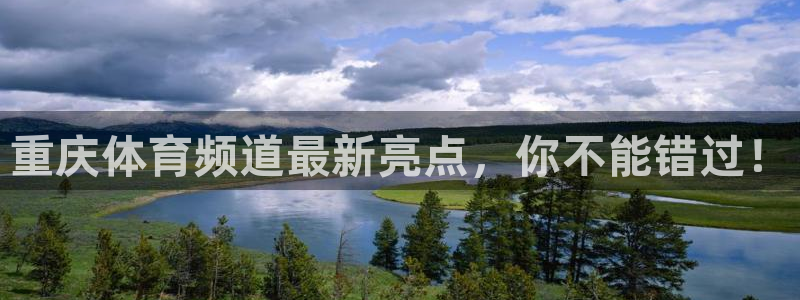 重庆体育频道最新亮点，你不能错过！