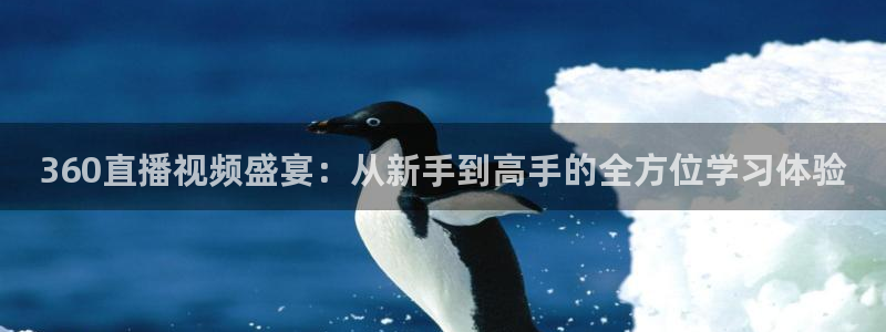 360直播视频盛宴：从新手到高手的全方位学习体验
