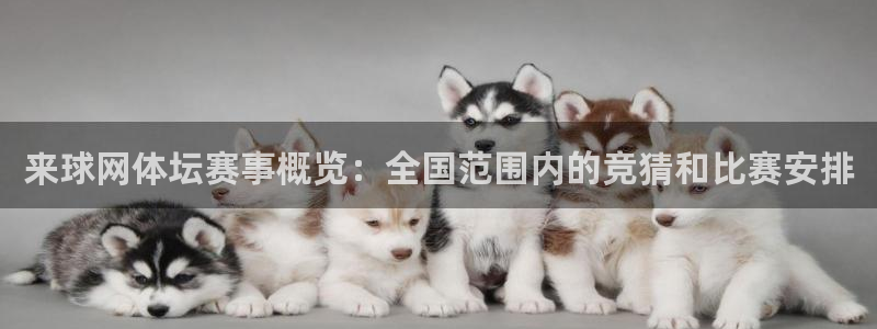 来球网体坛赛事概览：全国范围内的竞猜和比赛安排