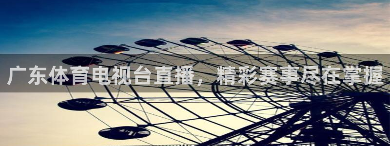 广东体育电视台直播，精彩赛事尽在掌握