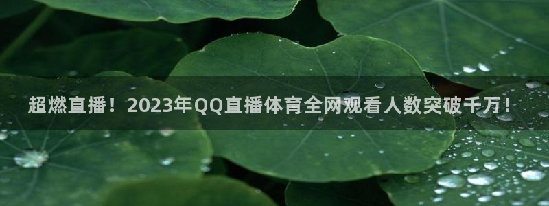 超燃直播！2023年QQ直播体育全网观看人数突破千万！