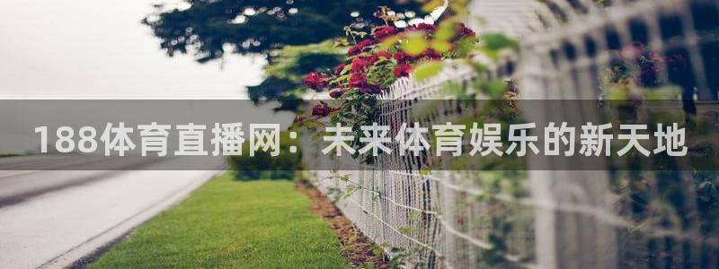 188体育直播网：未来体育娱乐的新天地