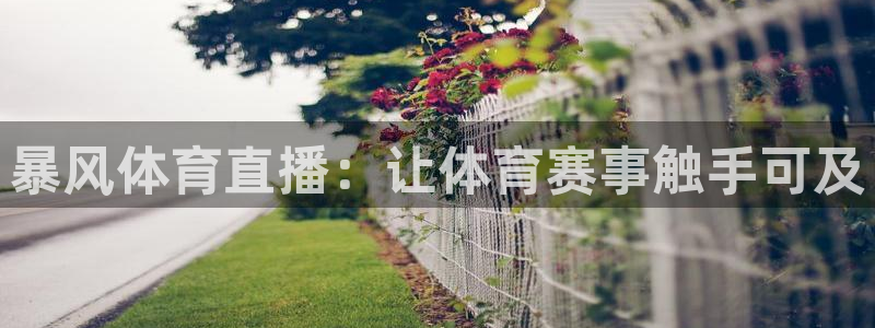 暴风体育直播：让体育赛事触手可及