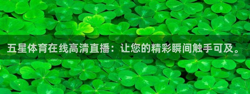 五星体育在线高清直播：让您的精彩瞬间触手可及。