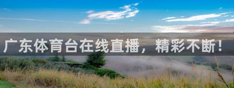 广东体育台在线直播，精彩不断！