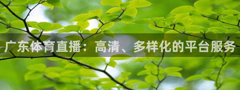 广东体育直播：高清、多样化的平台服务